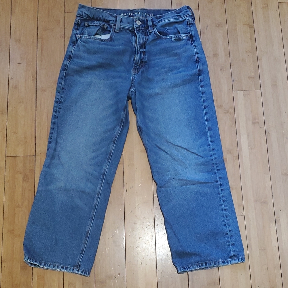 American Eagle Outfitters 6xshort Women's Low Rise Baggy Relaxed Blue Jeans